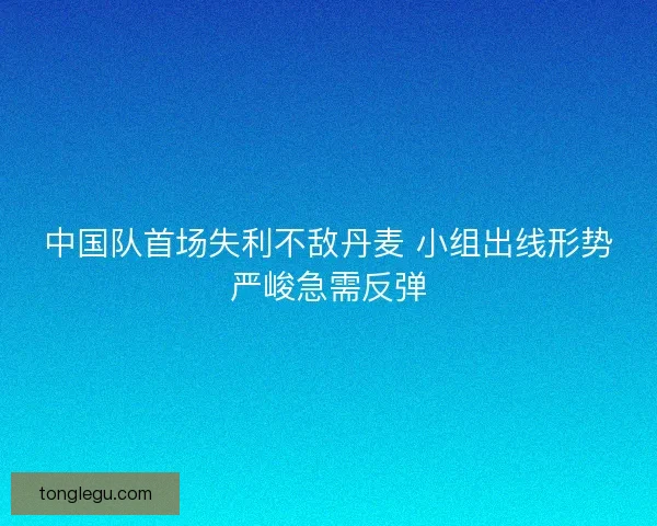 中国队首场失利不敌丹麦 小组出线形势严峻急需反弹 中国队首场失利不敌丹麦 小组出线形势严峻急需反弹